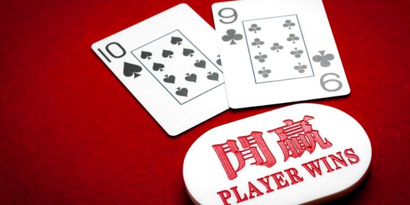 Khuyết điểm đáng buồn khi người dùng chọn tool baccarat